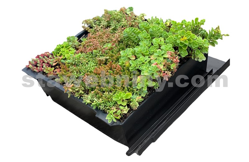 EUREKO GREEN Střešní krytina pro šikmé zelené střechy + substrát + vegetace