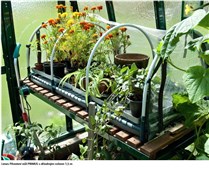 LIMES Pěstební stůl PRIMUS s dřevěným roštem 1,5 m